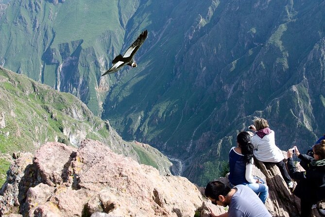 Full Day Tour to Colca from Arequipa - Key things to know before you go