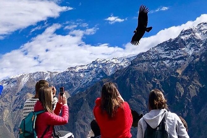 Full Day Tour to Colca from Arequipa - Cruz del Cóndor: the condor viewing window that sells the day