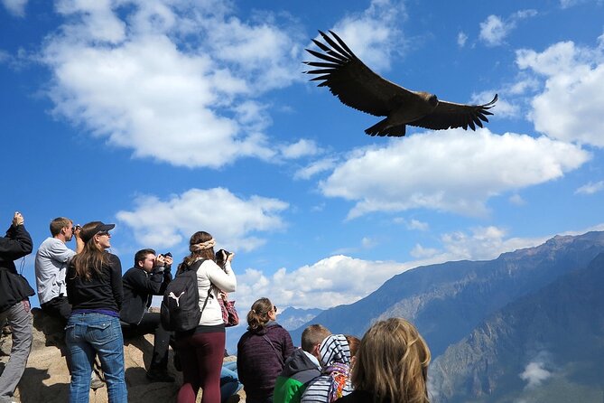 Full Day Tour to Colca including Transfer to Puno - Maca village stops for crafts, falcon pics, and Colca sour
