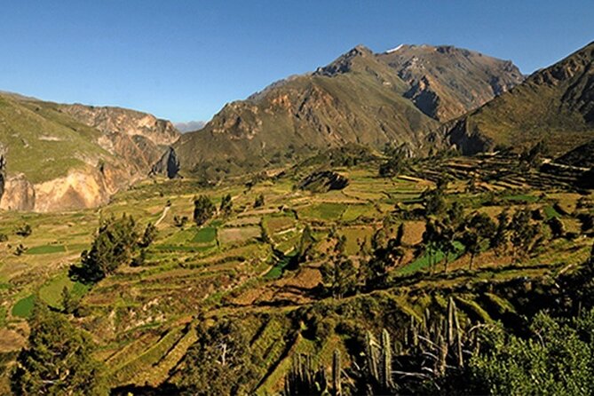 Full Day Tour to the Colca Canyon - Chivay: A Key Colca Canyon Town Moment