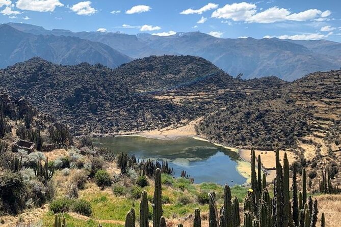 Full Day Tour to the Colca Canyon - Guide Style, English Timing, and How Group Changes Affect You