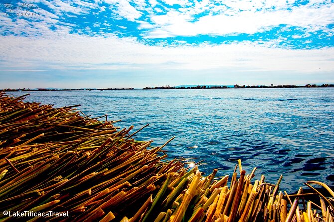Full-Day Tour to Uros and Taquile on Lake Titicaca - Uros Floating Islands: A Community Built on Totora and Tradition
