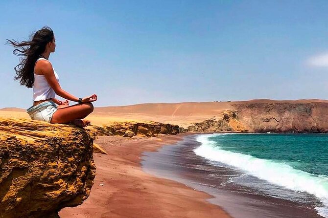 Full Day Tour to Visit Ballestas Islands and Paracas Reserve - The reserve walk sections: how they affect your comfort and timing