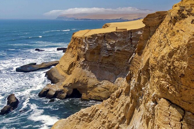Full Day Tour to Visit Ballestas Islands and Paracas Reserve - Price and value: what $59 covers, and what extra fees still apply