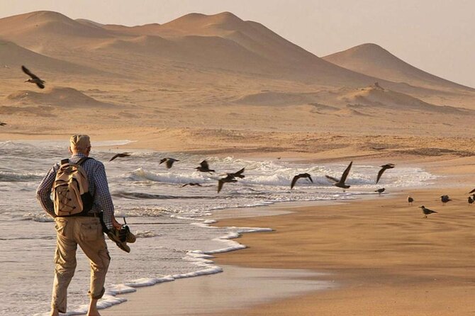 Full Day Tour to Visit Ballestas Islands and Paracas Reserve - Timing and logistics: morning pickup to around 3:00 pm return