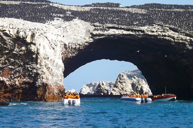 Full Day Tour to Visit Ballestas Islands and Paracas Reserve - Who this tour is best for, and who should skip it