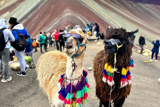 Full Day Trek Mountain Tour Short Route - Price and value: why $29 can work if the safety gear is legit
