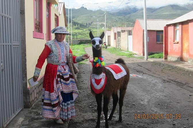 Full Day Trip to Colca Canyon from Arequipa - The Real Deal on This Colca Canyon Day Trip