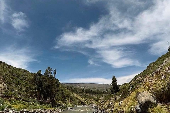 Full Day Trip to Colca Canyon from Arequipa - Abra Patapampa (About 4900m): Where the Air Feels Thinner