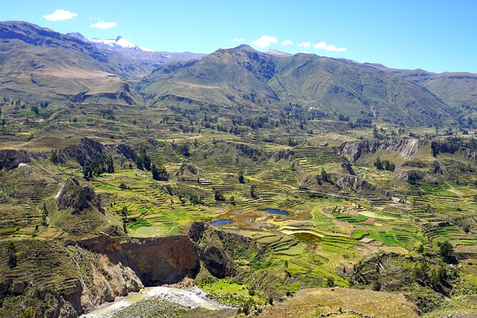Full Day Trip to Colca Canyon from Arequipa - Patahuasi and the Salinas y Aguada Blanca Reserve: Wildlife Chances