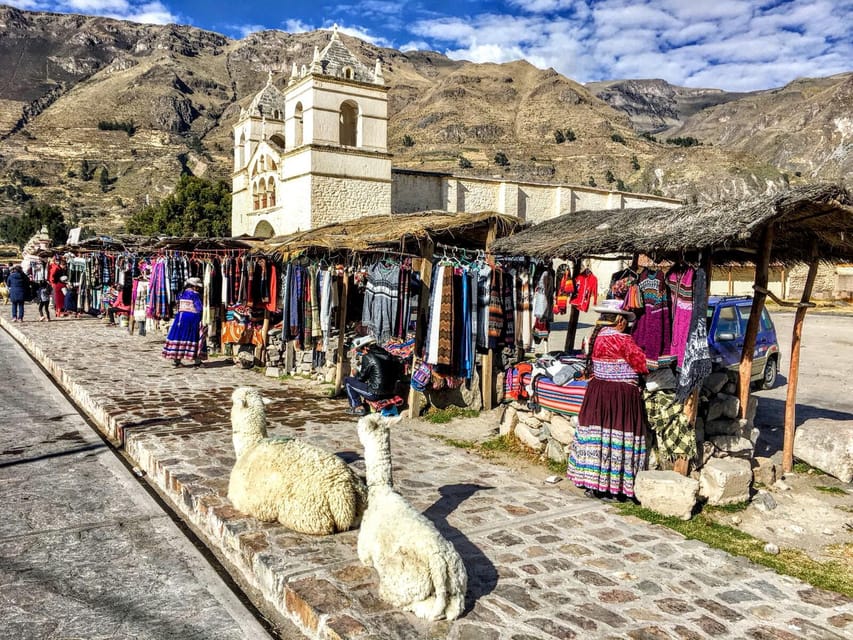 Full Day Trip to Colca Canyon from Arequipa ending in Puno - Patapampa (4,800 m) and the Pampa Cañahuas Wildlife Zone