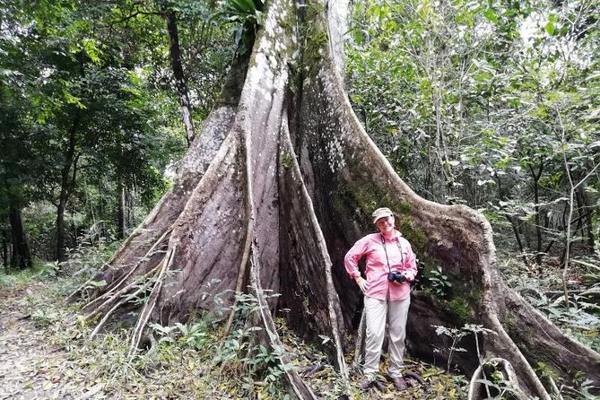 Full Nature 4 Days 3 Nights - Amazon Wonder Expeditions - Day 4: San Rafael daily life, butterflies at metamorphosis, trapiche rum, and one last dolphin search