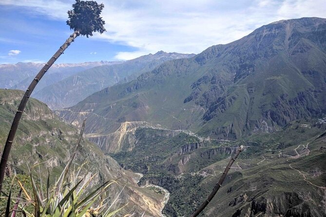 gazebos cannon of the coca - Quick reasons this Colca Canyon morning works