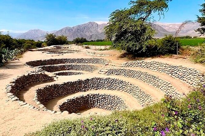 Guided Cantalloc Aqueduct Tour in Nazca - Small Group - The aqueduct visit: time inside, clear water, and a guide who explains it