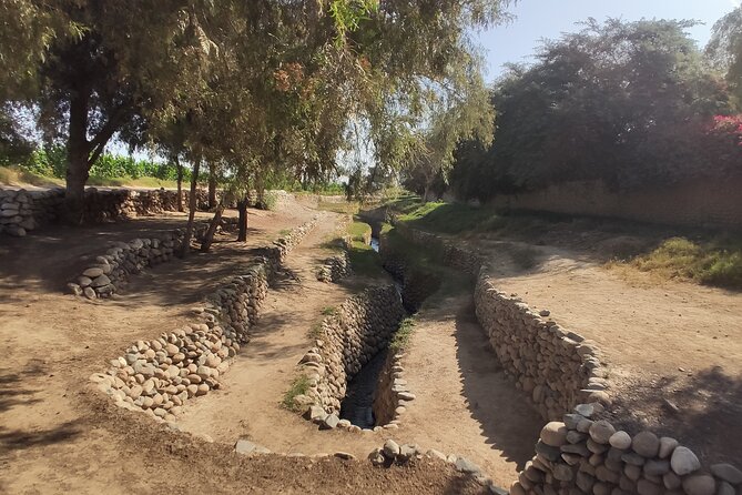 Guided Cantalloc Aqueduct Tour in Nazca - Small Group - Price and value: why $19 feels fair for what you get