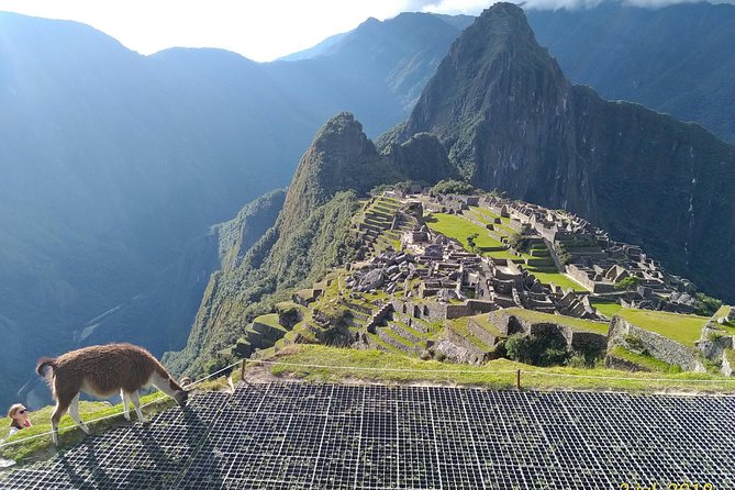 Guided Tour of Machupicchu: Private and Flexible 3 hours - Tickets, buses, and the order of operations that keeps your day calm