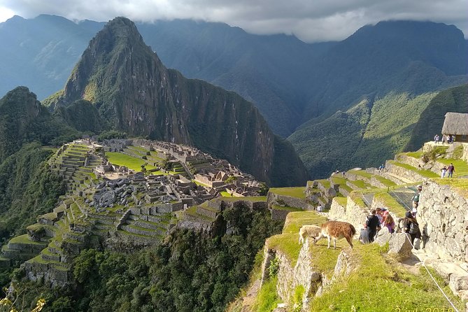 Guided Tour of Machupicchu: Private and Flexible 3 hours - What the $56.42 private guide price actually covers