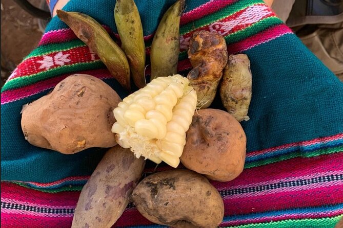 Half Day Andean Llama Trek in the Sacred Valley - Key highlights you will feel fast