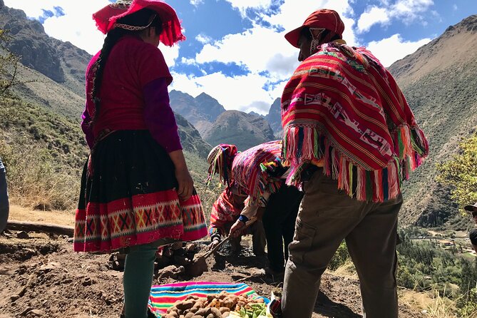 Half Day Andean Llama Trek in the Sacred Valley - From San Isidro to the Sacred Valley llama project
