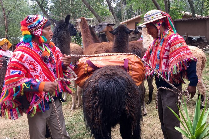 Half Day Andean Llama Trek in the Sacred Valley - Who this llama trek is best for