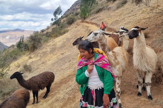 Half Day Andean Llama Trek in the Sacred Valley - Herding llamas the traditional Andean way, and what the hike feels like