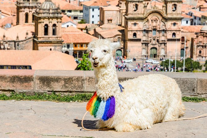 Half Day - Cusco City Essentials (Afternoon Group Tour) - How much you’ll actually see, and what to do with the rest of your day