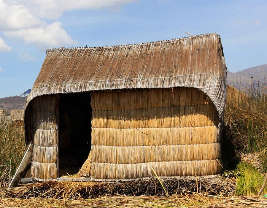 Half Day Guided Lake Titicaca Tour to Uros Floating Islands - Getting to Uros from Puno: a fast, focused half-day