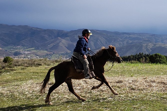 Half day Horseback Riding tour around Sacsayhuaman park - Vieja Estancia Ranch horses and safety gear you actually get