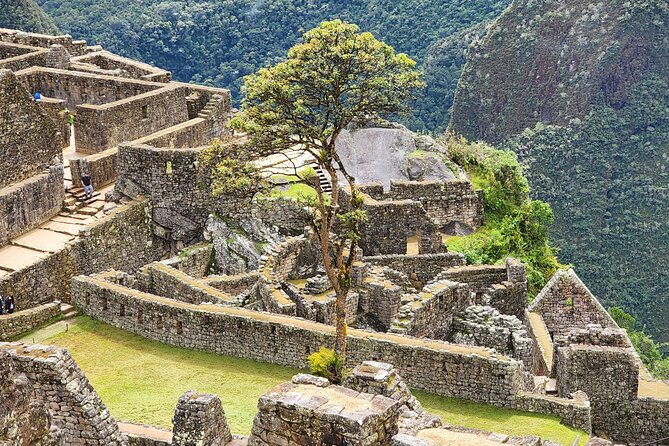 Half Day Private Tour Machu Picchu Cusco Peru - Who this private Machu Picchu tour is best for