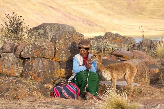 Half Day Tour to Sillustani from Puno - Price and Logistics: What $22 Gets You in Real Terms