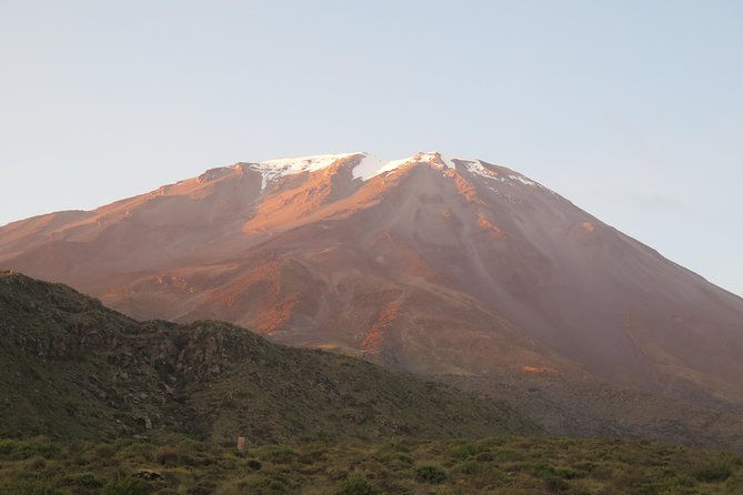Half Day Trek To Volcan Misti - Small group feel, serious guiding: Marco Antonio and more