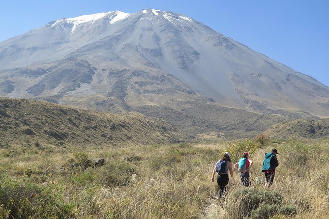Half Day Trek To Volcan Misti - The half-day hike itself: steep uphill effort and a real altitude reality check