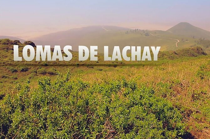 Hiking in Lima, Lomas de Lachay - Key highlights at a glance