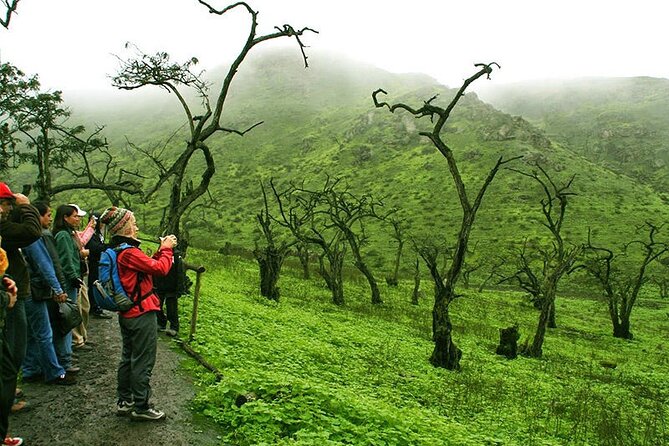 Hiking in Lima, Lomas de Lachay - Price and value: what $155 covers and what costs extra