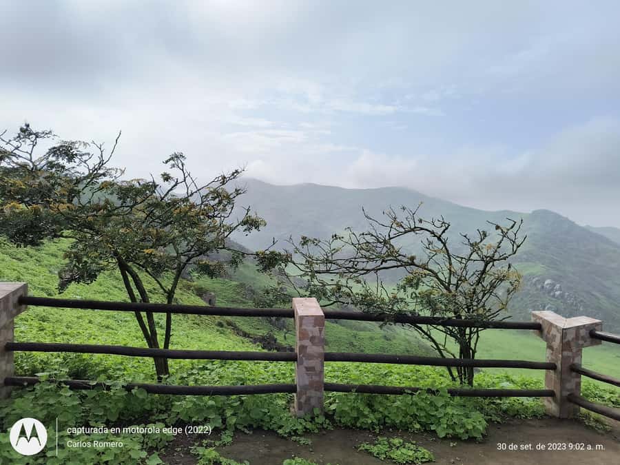 Hiking Lomas de Lachay in Lima - Should You Book Lomas de Lachay?