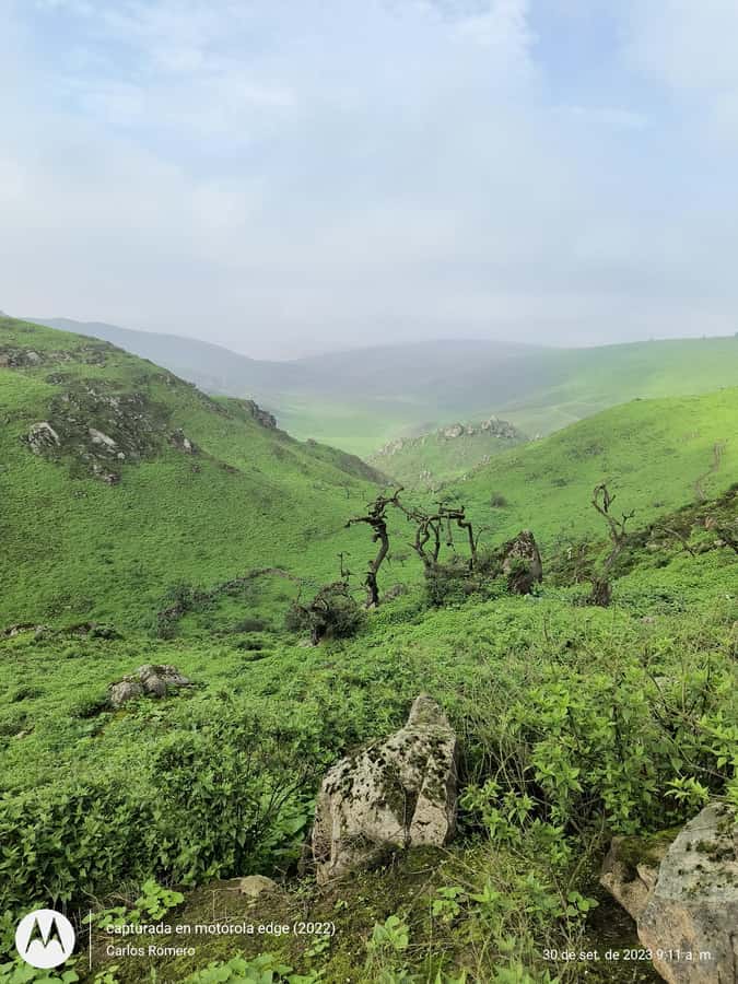 Hiking Lomas de Lachay in Lima - Breakfast, Then Trails: What Your Morning Actually Looks Like