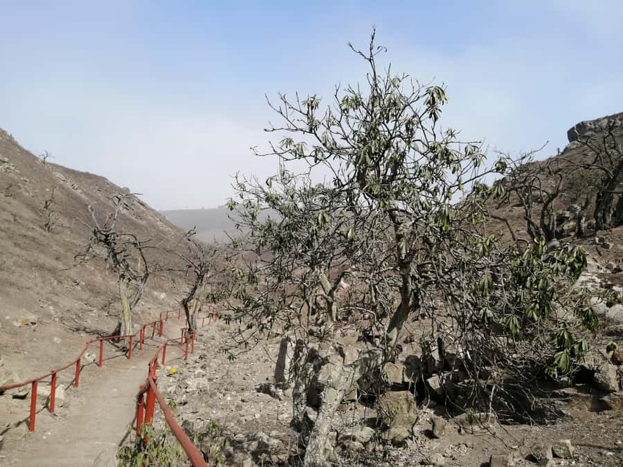 Hiking Lomas de Lachay in Lima - Getting Value: Price, Park Entry, and What’s Included