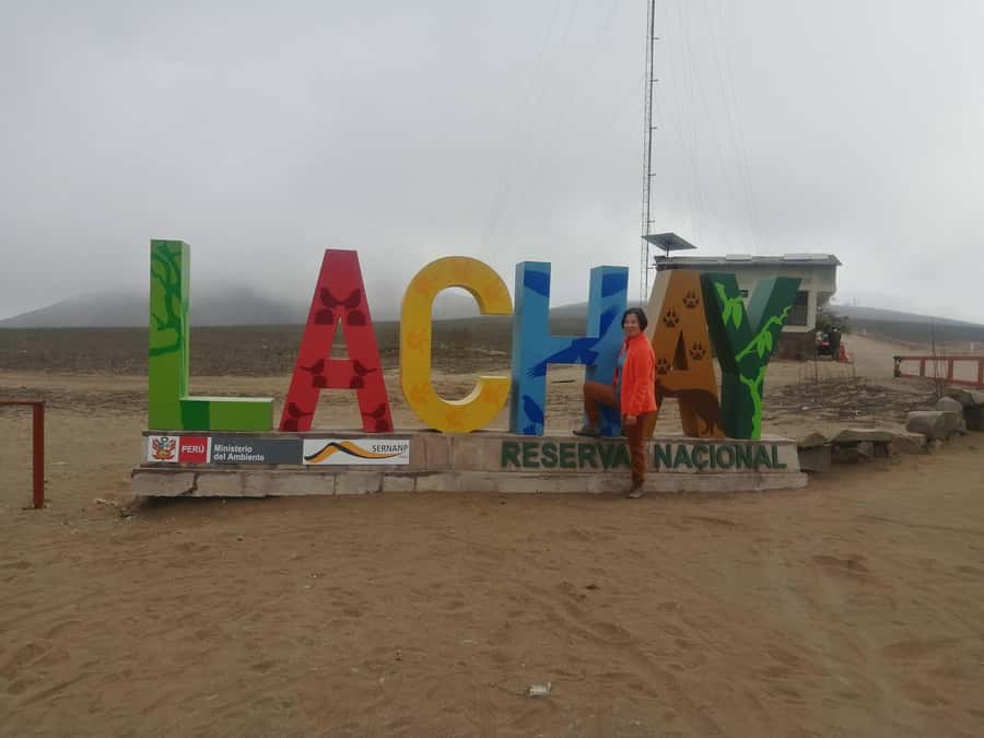 Hiking Lomas de Lachay in Lima - The 10-Hour Rhythm: Why You Leave at 5 and Return in the Afternoon