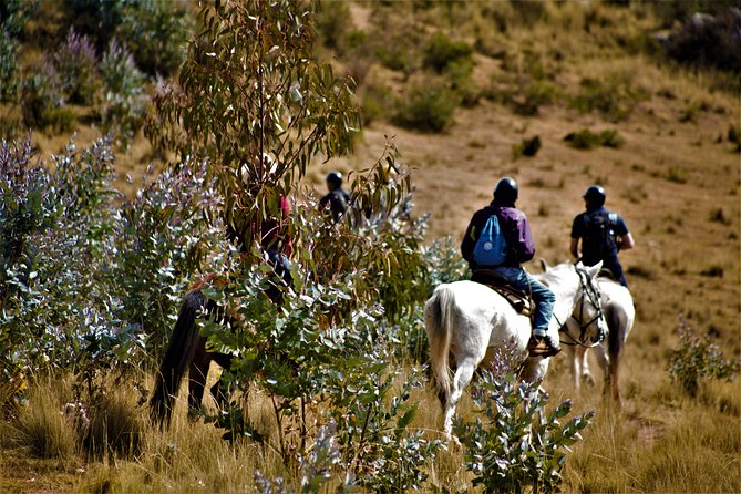 Horse Riding Chacan Mountain And Temple Of The Moon - Training Wheels for Beginners: What the Ride Feels Like