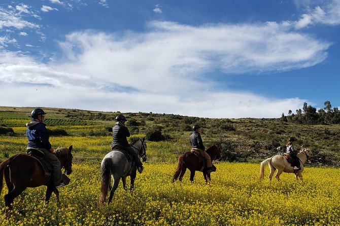 Horse Riding to the Temple of the Moon + Guided Visit to Sacsayhuaman - Cusco - Temple of the Moon: A Guided Dismount With Pre Inca and Inca Context