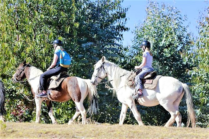 Horseback Riding: 4 Archaeological Sites - A Half-Day Ride That Connects Four Archaeological Stops Outside Cusco