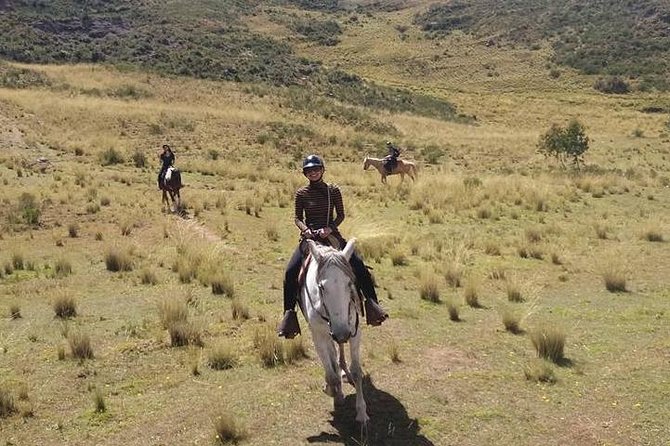 Horseback Riding: 4 Archaeological Sites - Saddle time with Peruvian Paso horses: what the riding feels like