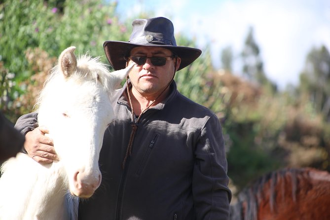 Horseback Riding: 4 Archaeological Sites - The four sites: what you’ll do at Puka Pukara, Tambomachay, Q’enqo, and Sacsayhuaman