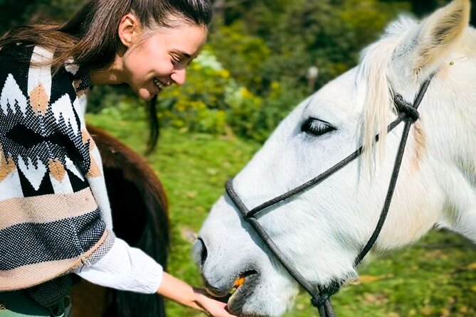 Horseback Riding & Ancestral Secrets: Moon Temple & Inka Sites - Meeting Arnold, Franco, and Your Horse: How the Ride Stays Safe