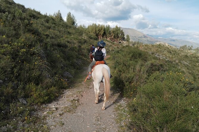 Horseback Riding & Ancestral Secrets: Moon Temple & Inka Sites - Riding Pace Control: Walking, Trot, Canter, and Knowing When to Say Yes