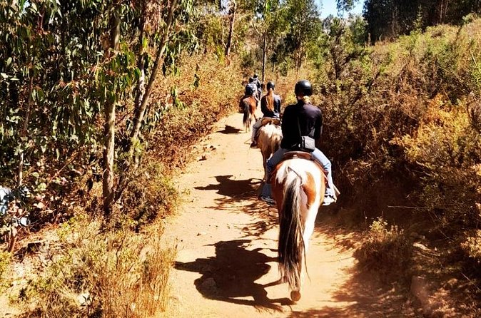 Horseback riding around Sacsayhuaman, Cusco - Returning to the Ranch and Back to Plaza Regocijo