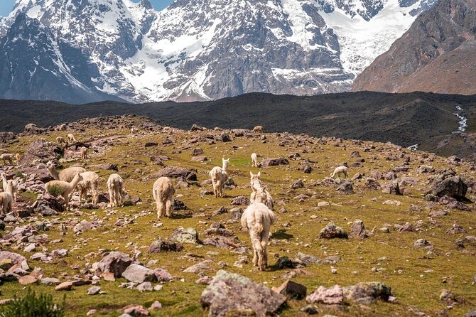Horseback Riding In Ausangate 7 Lakes Full Day - Private - The Pacchanta return ride and lunch reset