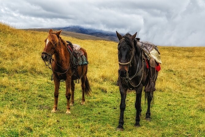 Horseback Riding In Ausangate 7 Lakes Full Day - Private - Price and value: what $180 buys you, and where it makes sense