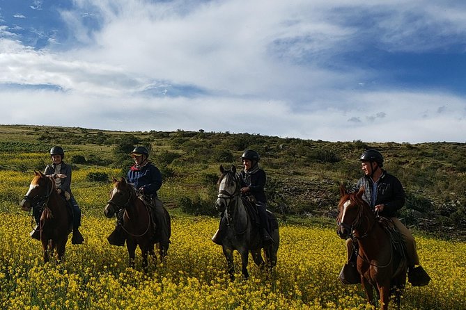 Horseback Riding Tour to the Devil's Balcony from Cusco - Timing and pace: how this half-day feels in real life