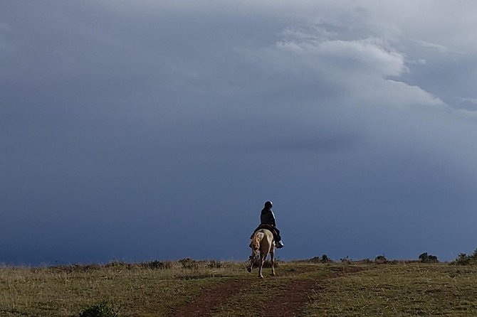 Horseback Tour in cusco to Temple of the Moon & Hidden temples - Quick hits before you go